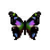 butterfly-dead-purplespottedswallowtail