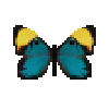 butterfly-dead-stichelseyemarkfemale