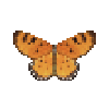 butterfly-dead-tawnycoster