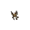 clothes-butterflypin-bandedpeacock