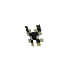clothes-butterflypin-cabbagewhite