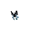 clothes-butterflypin-pipevineswallowtail