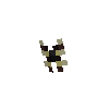clothes-butterflypin-zebraheliconan