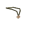 clothes-neck-necklace-seashell1