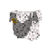 clothes-shoulder-royal-fur