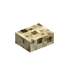 coralchunk-dead