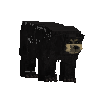 creature-bear-black-adult-male