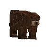 creature-bear-brown-adult-male