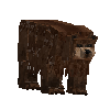 creature-bear-male-brown