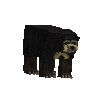 creature-bear-male-sun