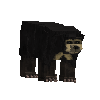 creature-bear-sun-adult-female