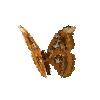 creature-butterfly-atlasmothfemale