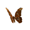 creature-butterfly-atlasmothmale