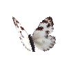 creature-butterfly-checkeredwhitefemale