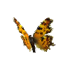 creature-butterfly-comma