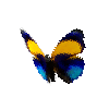 creature-butterfly-dottedglory