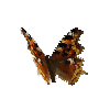 creature-butterfly-falsecomma
