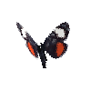 creature-butterfly-grapevineepimenis
