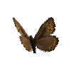 creature-butterfly-juttaarctic