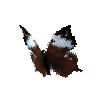 creature-butterfly-nessusleafwingfemale