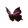 creature-butterfly-nessusleafwingmale