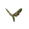 creature-butterfly-oleanderhawkmothmale
