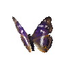 creature-butterfly-purpleemperormale