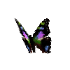 creature-butterfly-purplespottedswallowtail