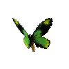 creature-butterfly-queenvictoriasbirdwingmale