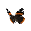 creature-butterfly-redadmiral