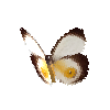 creature-butterfly-silkyowl