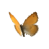 creature-butterfly-smallheathfemale