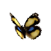 creature-butterfly-yellowpansymale