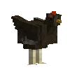 creature-chicken-hen
