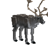 creature-deer-caribou-adult-male
