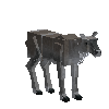 creature-deer-caribou-female-adult