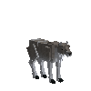 creature-deer-caribou-female-baby