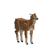 creature-deer-chital-female-adult