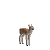 creature-deer-elk-baby-female