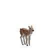 creature-deer-elk-male-baby