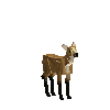 creature-deer-marsh-female-baby