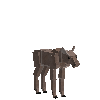 creature-deer-moose-baby-male