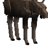 creature-deer-moose-male-adult