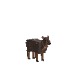 creature-deer-pudu-adult-female