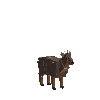 creature-deer-pudu-adult-male