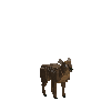 creature-deer-pudu-baby-male
