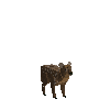 creature-deer-pudu-male-baby