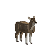creature-deer-taruca-adult-female
