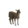 creature-deer-taruca-male-adult