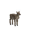 creature-deer-water-adult-female